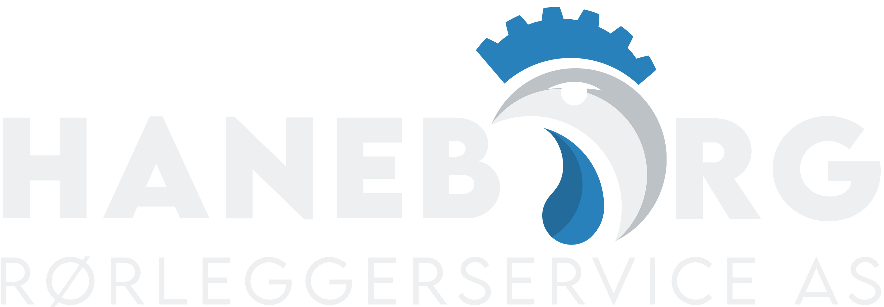 Logo - Haneborg Rørleggerservice AS